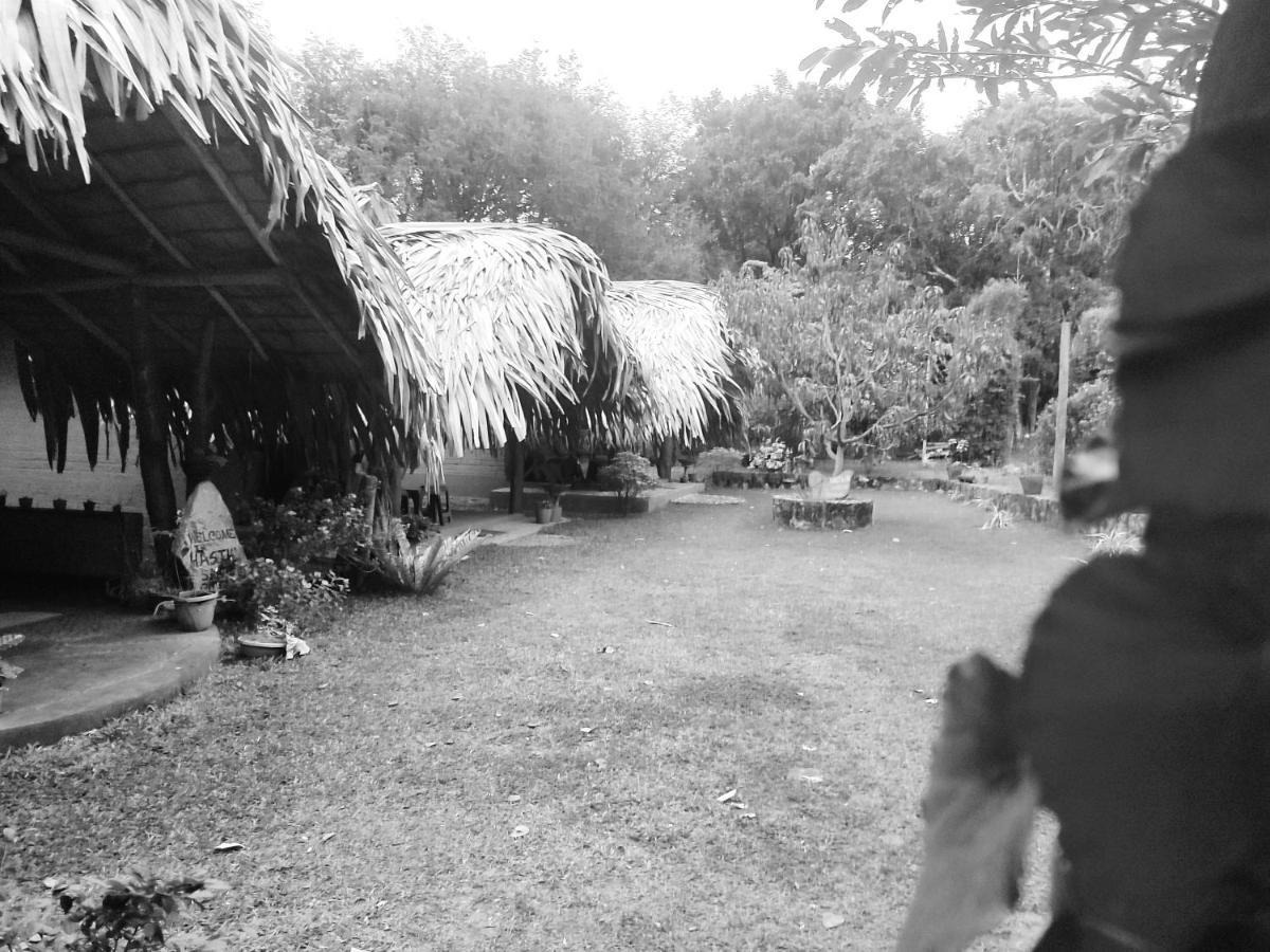 Hasthi Safari Cottage อุดาวาลาเว ภายนอก รูปภาพ