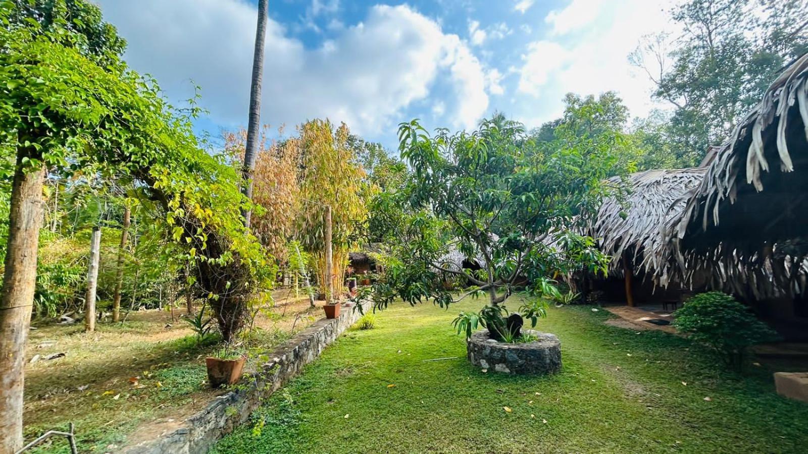 Hasthi Safari Cottage อุดาวาลาเว ภายนอก รูปภาพ