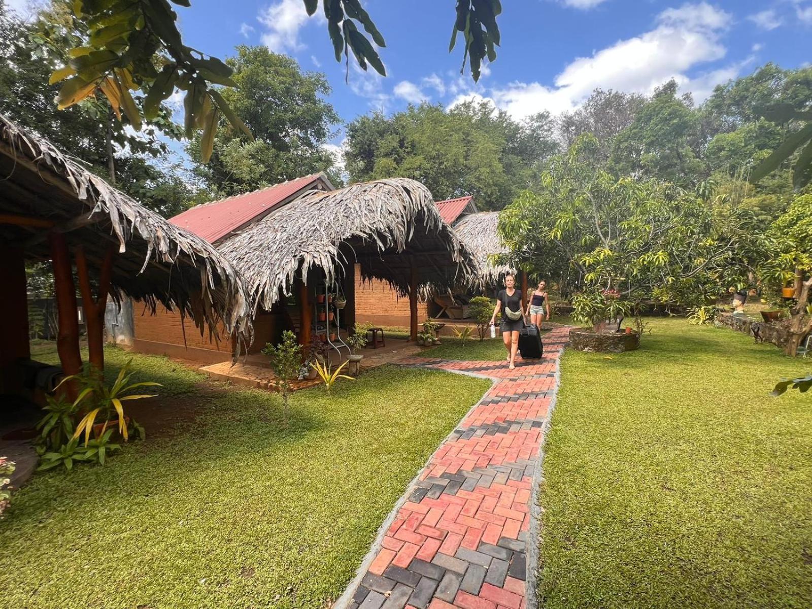 Hasthi Safari Cottage อุดาวาลาเว ภายนอก รูปภาพ
