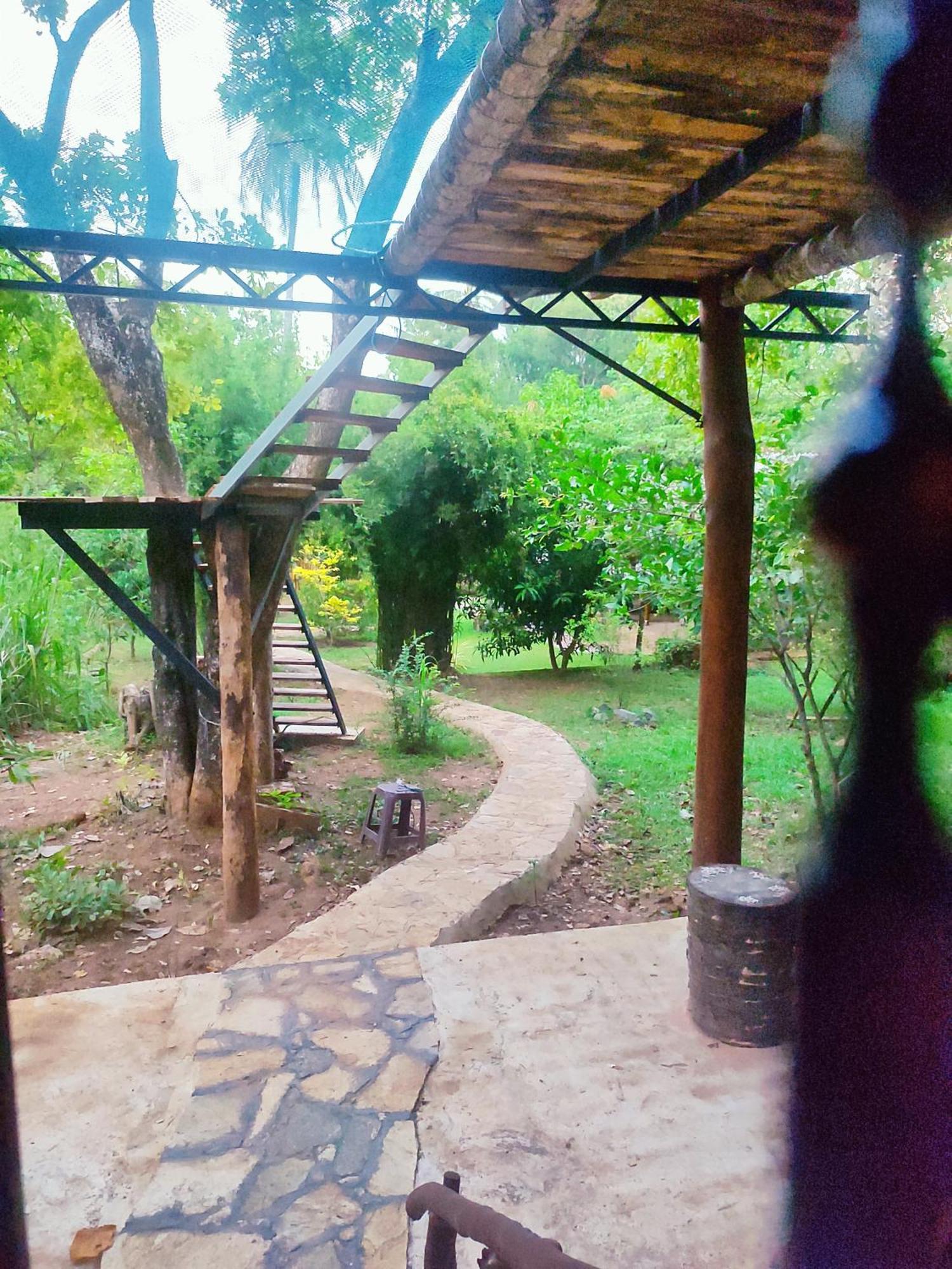 Hasthi Safari Cottage อุดาวาลาเว ภายนอก รูปภาพ