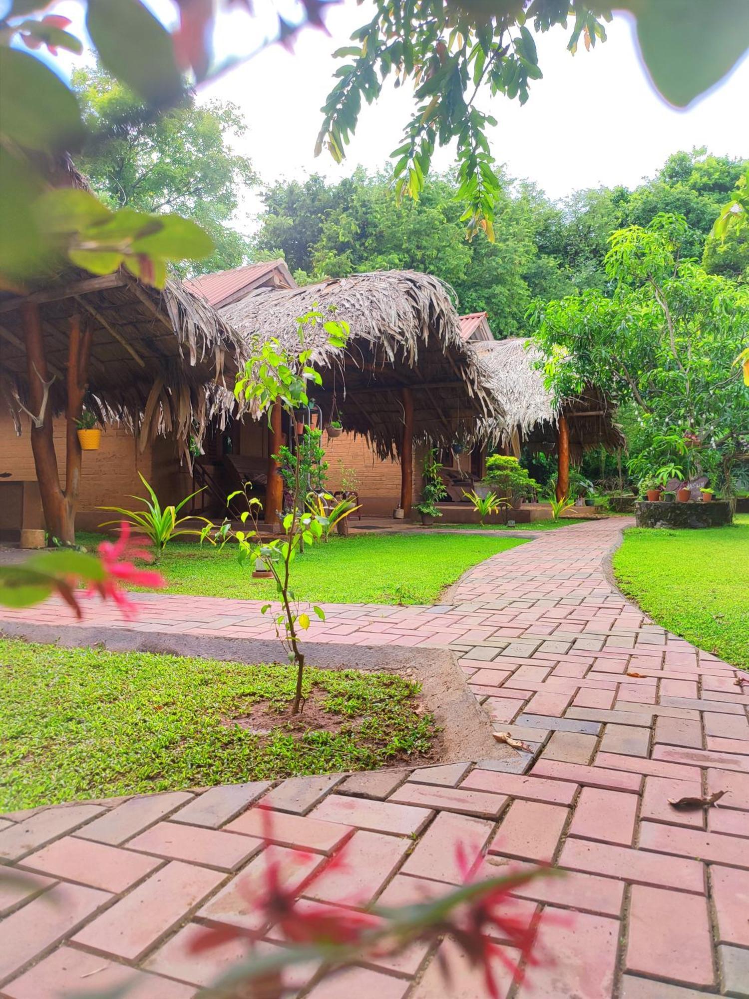 Hasthi Safari Cottage อุดาวาลาเว ภายนอก รูปภาพ
