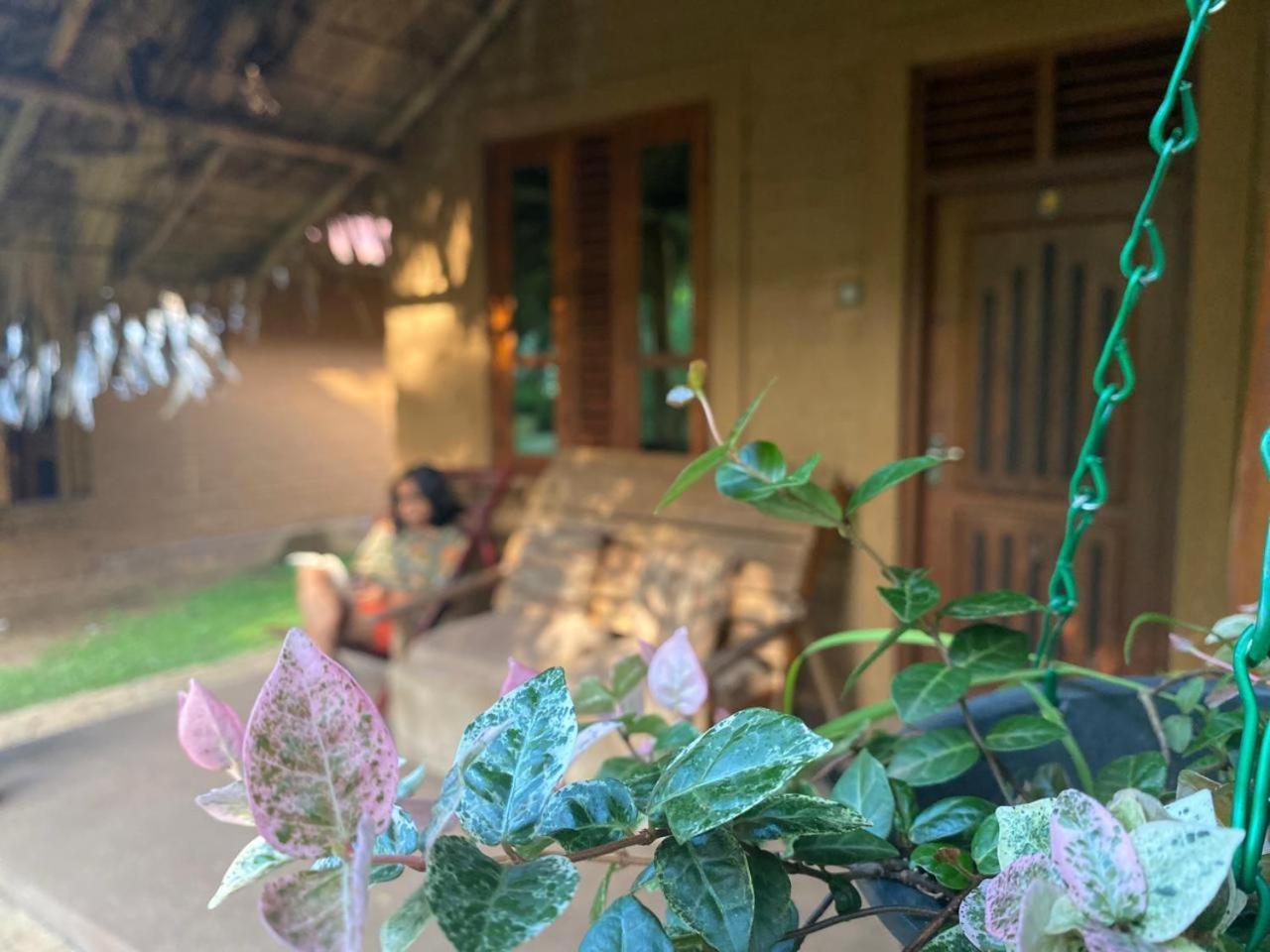 Hasthi Safari Cottage อุดาวาลาเว ภายนอก รูปภาพ