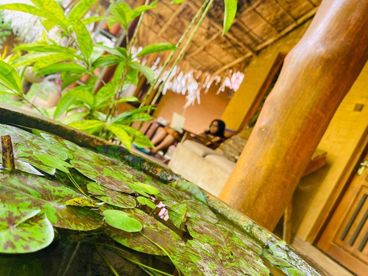 Hasthi Safari Cottage อุดาวาลาเว ภายนอก รูปภาพ