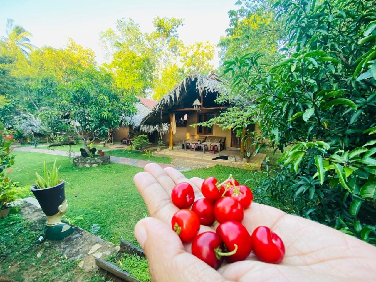 Hasthi Safari Cottage อุดาวาลาเว ภายนอก รูปภาพ